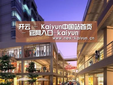 案例展示一